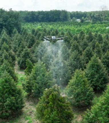 Ứng dụng Drone trong canh tác sầu riêng