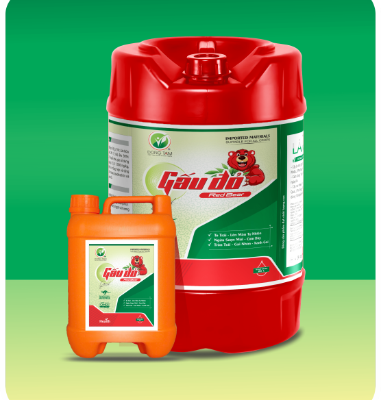 GẤU ĐỎ ĐỒNG TÂM