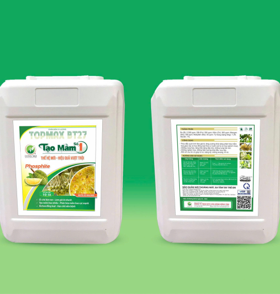 TẠO MẦM SỐ 1