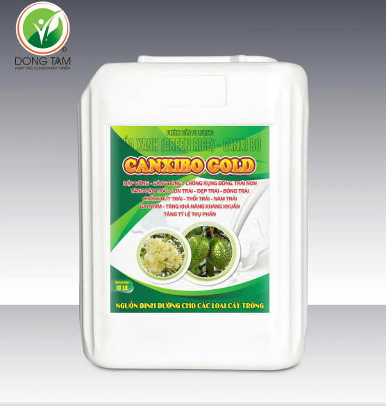 CANXIBO GOLD