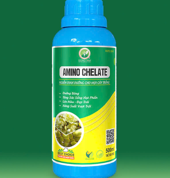 AMINO CHELATE
