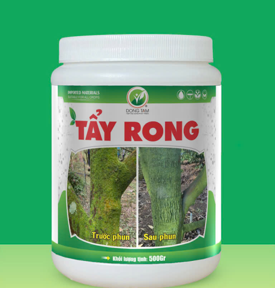 TẨY RONG ĐỒNG TÂM