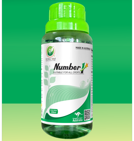 NUMBER 1 (NHẬP KHẨU ÚC)