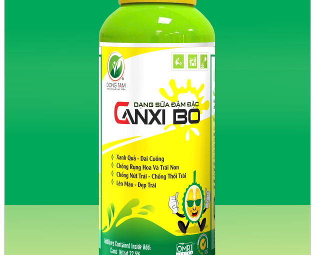 Tình Em Xứ Quảng - Đàm Vĩnh Hưng 