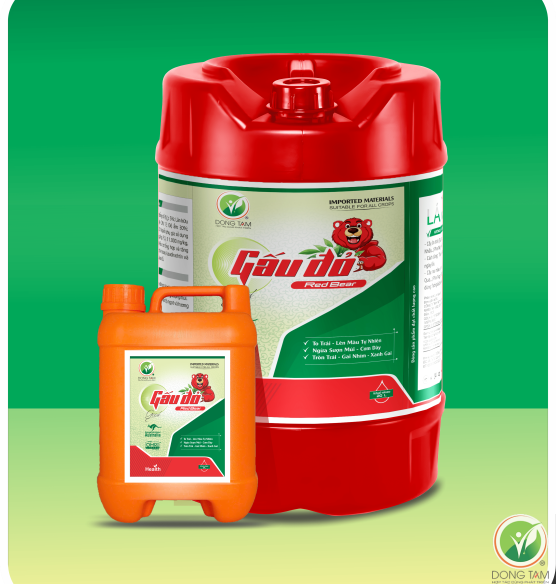 GẤU ĐỎ ĐỒNG TÂM