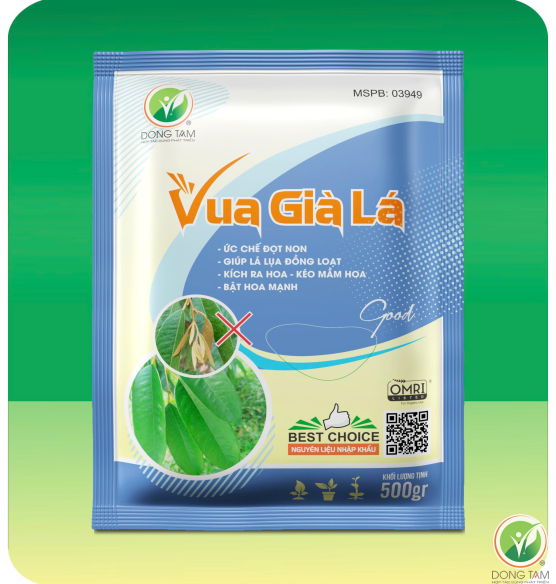 VUA GIÀ LÁ