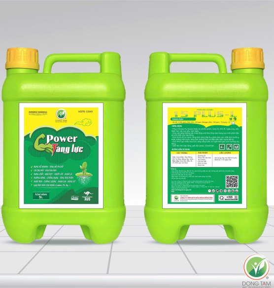 POWER TĂNG LỰC