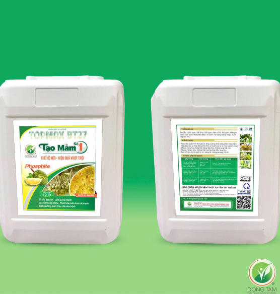 TẠO MẦM SỐ 1