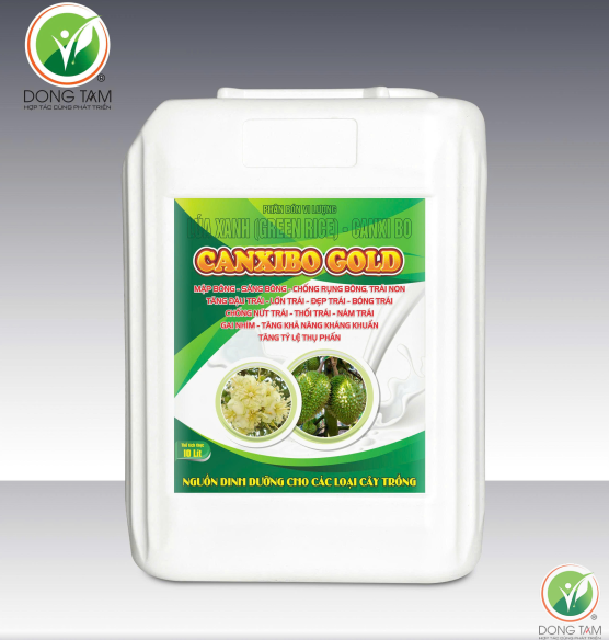 CANXIBO GOLD