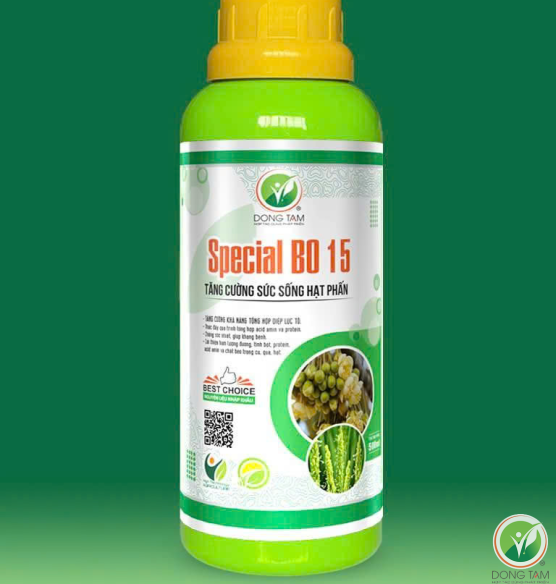 SPECIAL BO 15