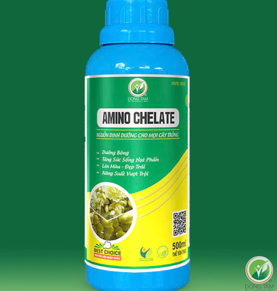 AMINO CHELATE