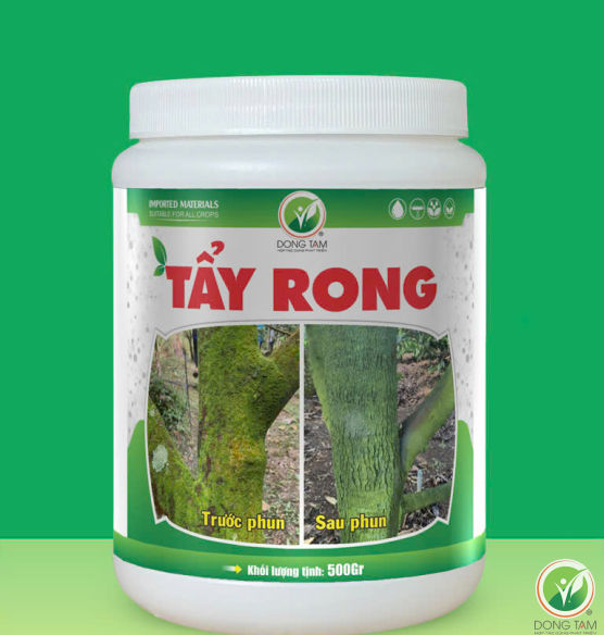 TẨY RONG ĐỒNG TÂM